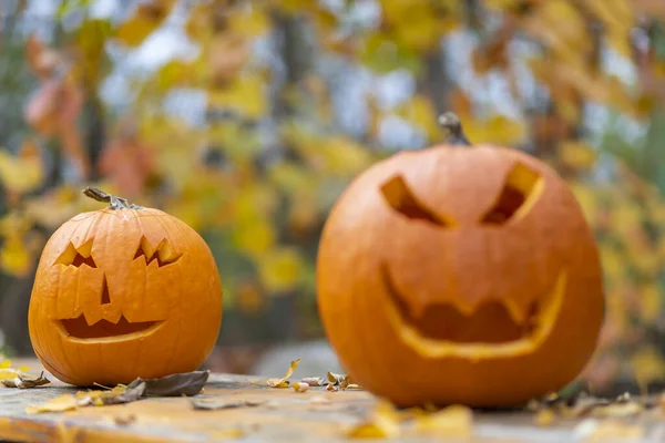 Halloween Dynia Jesień Martwa Natura — Zdjęcie stockowe