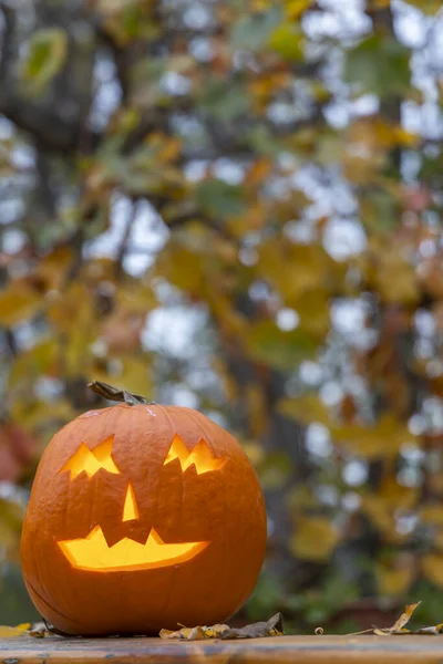 Zucca Halloween Autunno Natura Morta — Foto Stock