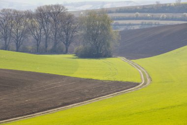 Velke Bilovice yakınlarındaki bahar manzarası, Güney Moravya