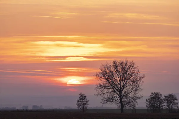 Zachód Słońca Pobliżu Zamku Boldogko Węgrzech Północnych — Zdjęcie stockowe