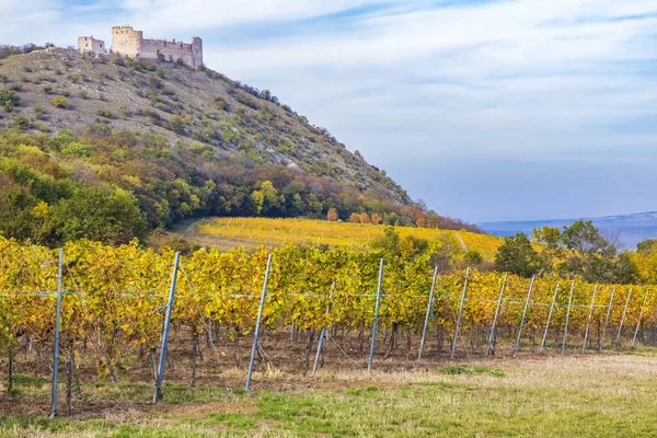 Ruínas Castelo Devicky Com Vinhas República Checa — Fotografia de Stock