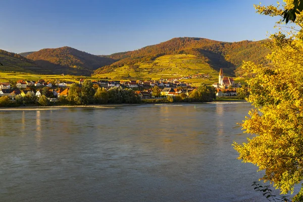 Осенний Виноградник Шпиц Регионе Вахау Австрия — стоковое фото