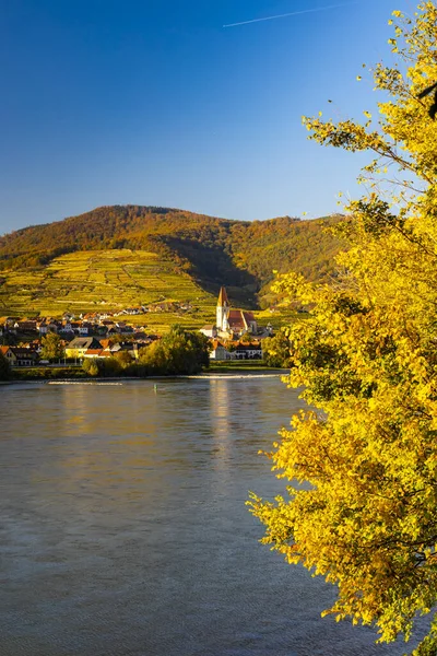 Herbstweinberg Und Spitz Der Wachau Österreich — Stockfoto