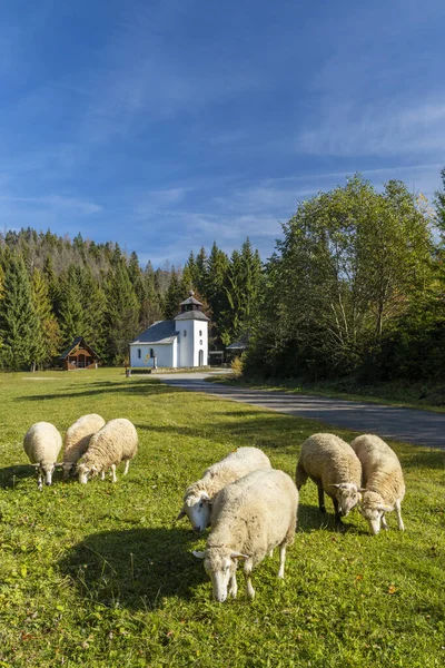 Muzeum Kysucke Dediny Kysuca Słowacja — Zdjęcie stockowe