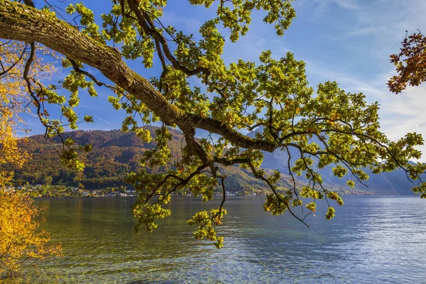 Озеро Гмундена — стоковое фото