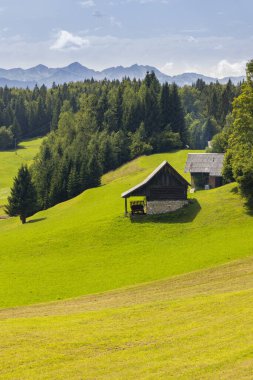 Bohinj Gölü, Slovenya yakınındaki triglavski Milli Parkı