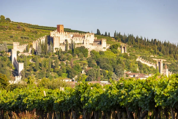 Castle Soave Veneto Ιταλία — Φωτογραφία Αρχείου