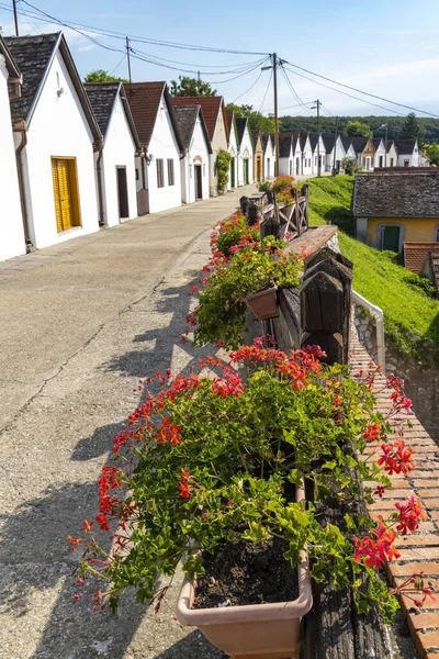 Wine Cellars Villanykovesd Villany Hungary — Stock Photo, Image