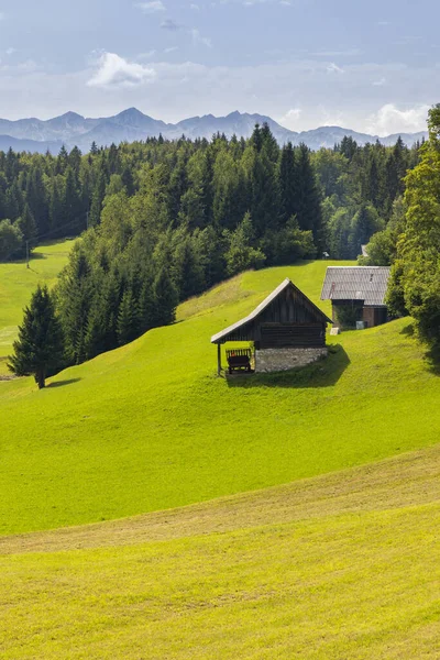 Triglavski Nationalpark Nära Bohinj Sjön Slovenien — Stockfoto