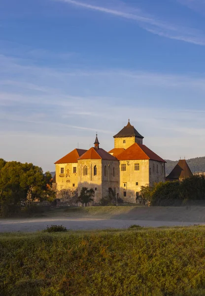 Zamek Wodny Svihov Koło Klatovy Czechy Południowe Czechy — Zdjęcie stockowe