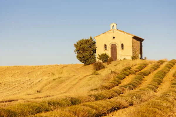 Kapell Med Lavendelfält Plateau Valensole Provence Frankrike — Stockfoto