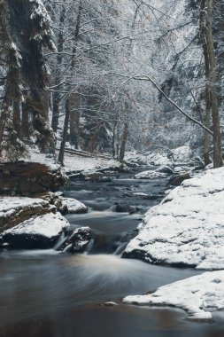Valley Doubrava, Chotebor ve Bilek yakınlarında. Bohemya-Moravya Dağları (Ceskomoravska Vysocina), Çek Cumhuriyeti