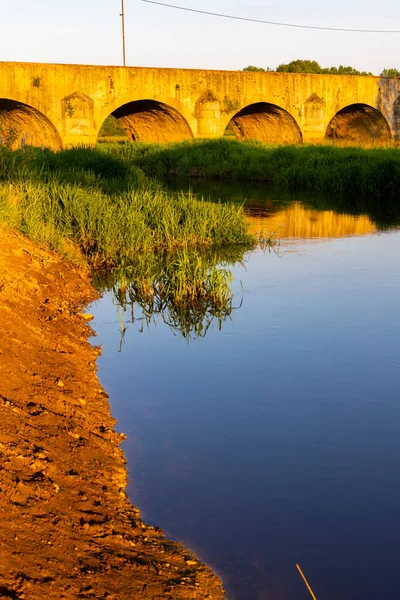 Ponte Pedra Velha Sobre Lagoa Vitek Perto Trebon Boêmia Sul — Fotografia de Stock