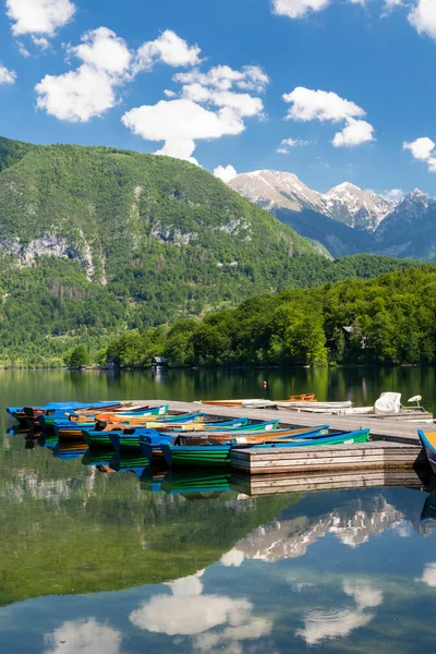Lago Bohinj Nel Parco Nazionale Del Triglav Slovenia — Foto Stock