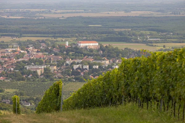 Château Siklos Dans Région Villany Avec Vignobles Hongrie Sud — Photo