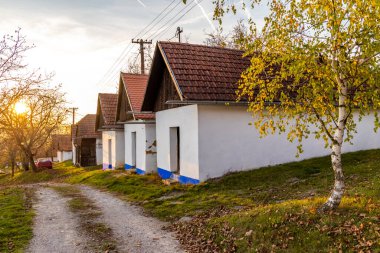 Vlcnov 'da şarap mahzenleri, Güney Moravya, Çek Cumhuriyeti
