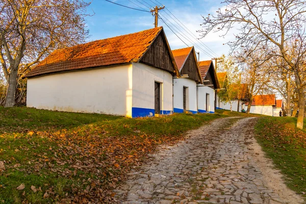 Bodegas Vlcnov Moravia Meridional República Checa — Foto de Stock