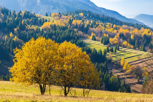 Mala Fatra Perto Zilina Eslováquia — Fotografia de Stock