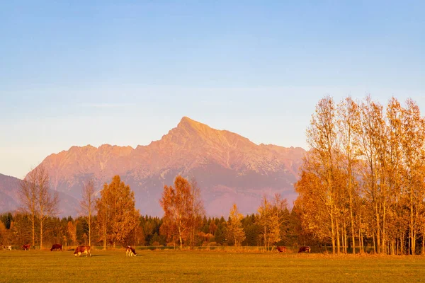 Krivan Hight Tatras Slovakia — Stock Photo, Image