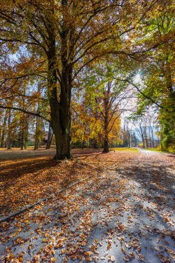 Slovakya 'daki Betliar kalesinin yanına park et.