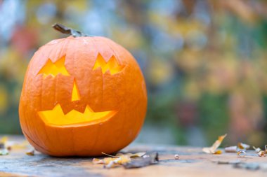 Cadılar bayramı balkabağı, sonbahar durgun hayat