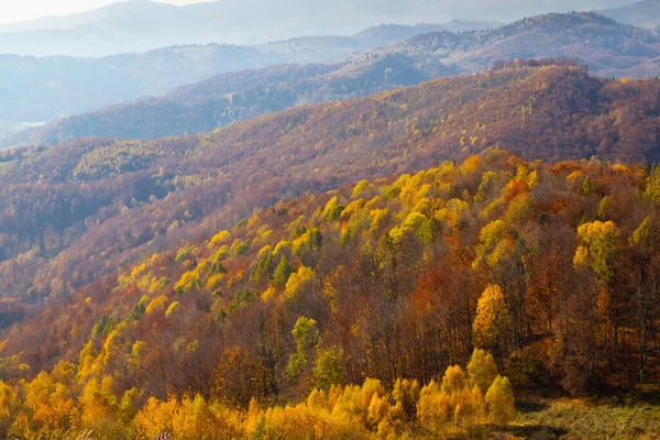 Nationalpark Slovensky Raj Slovakien — Stockfoto