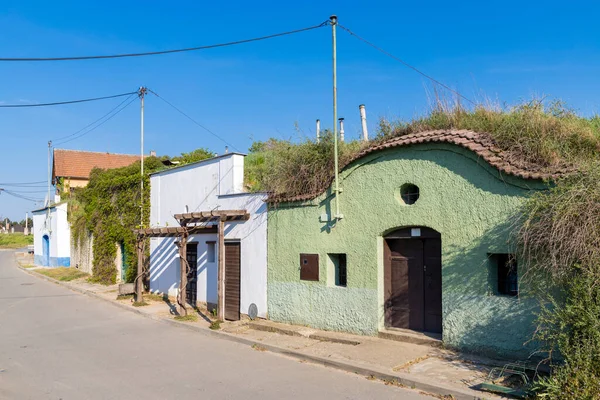 Bzenec Teki Eski Şarap Mahzeni Güney Moravya Çek Cumhuriyeti — Stok fotoğraf