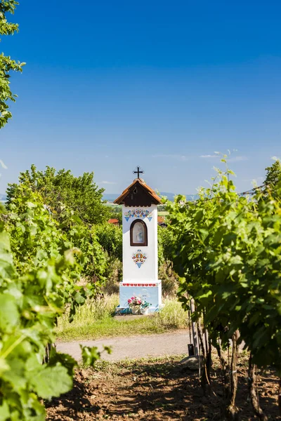 Guds Tortyr Med Vingård Nära Nechory Tjeckien — Stockfoto