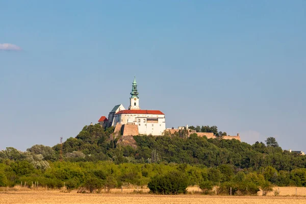 Нітра Замок Словацькій Республіці — стокове фото