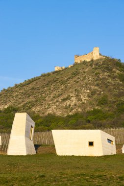 Palava bölgesinde Devicky kalıntıları olan Archeopark Pavlov, Güney Moravya, Çek Cumhuriyeti