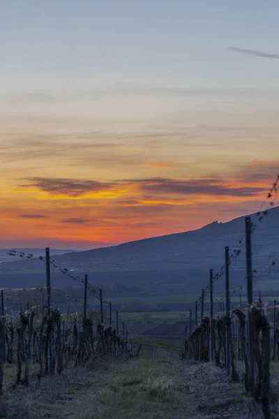Восход Солнца Палаве Руинами Девицки Южная Моравия Чехия — стоковое фото