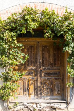 Villanykovesd, Villany, Macaristan 'daki şarap mahzenleri