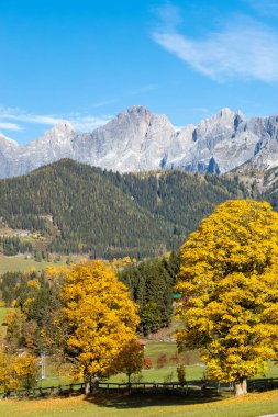 Avusturya 'da Dachstein Massif' in sonbahar manzarası