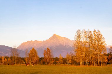 Krivan, Hight Tatras, Slovakya