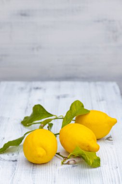 Sorrento yapraklı limonlarla dolu bir hayat