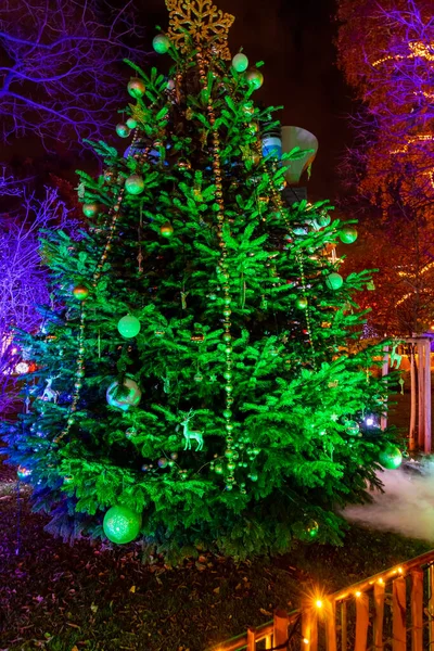 Weihnachtsbaum Wien Österreich — Stockfoto