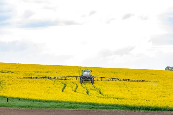 春の菜の花畑に肥料トラクター — ストック写真