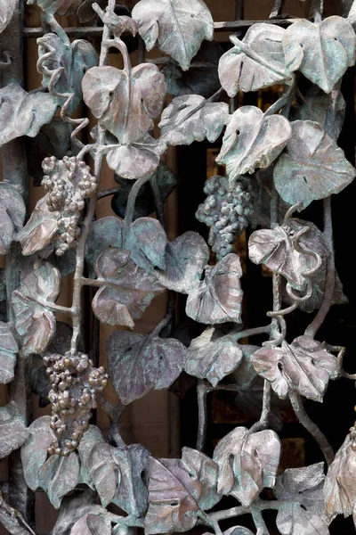 Wrought Iron Grille Showing Vines Pecs Hungary — Stock Photo, Image