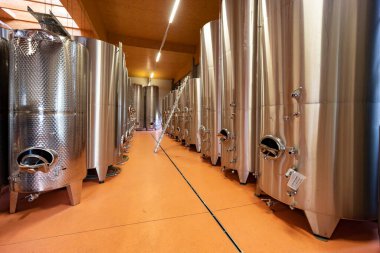Viyana yakınlarındaki Traiskirchen 'de şarap mahzeni, Thermenregion, Avusturya