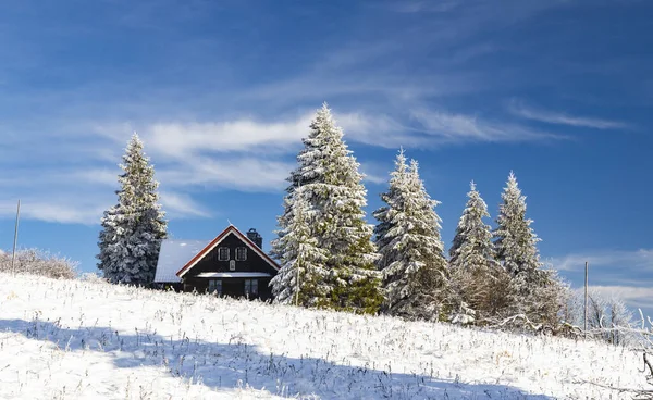 Orlicke Mountains Winter República Checa — Fotografia de Stock