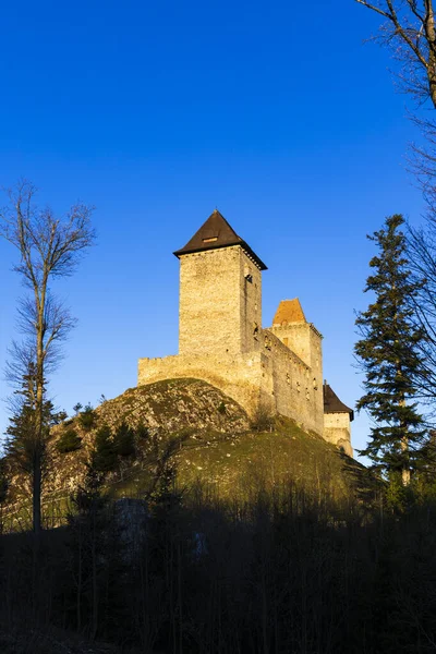 Castelul Kasperk Din Sumava Republica Cehă — Fotografie, imagine de stoc