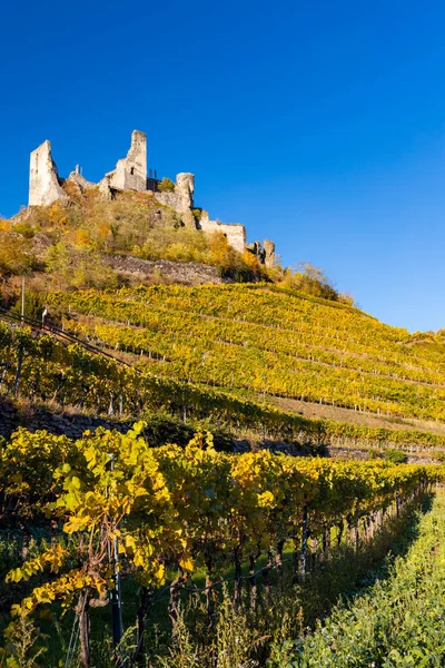 Ruins Senftenberg Krems Land District Lower Austria Austria — Stock Photo, Image