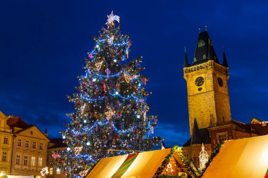 Çek Cumhuriyeti Prag 'daki Old Town Square' de Noel ağacı