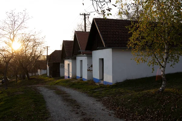 Wijnkelders Vlcnov Zuid Moravië Tsjechië — Stockfoto