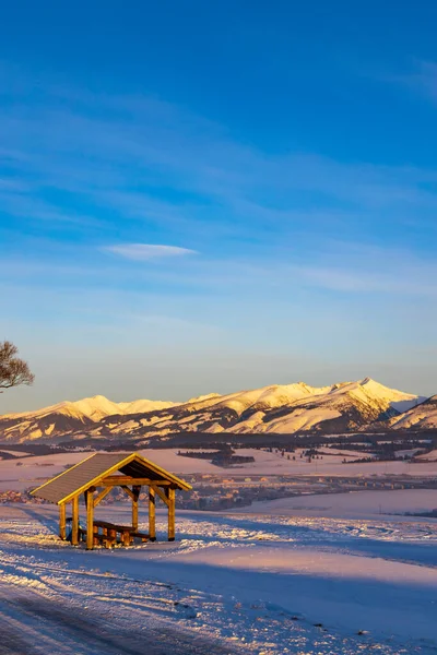 Västra Tatras Rohace Vintern Slovakien — Stockfoto