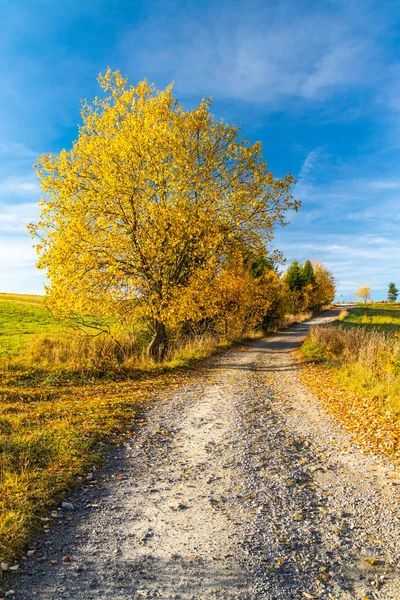 スロバキアのサドルBeskyd近くの秋の木と道路 — ストック写真