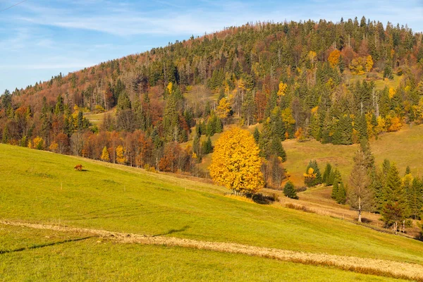 Outono Paisagem Perto Sela Beskyd Eslováquia — Fotografia de Stock