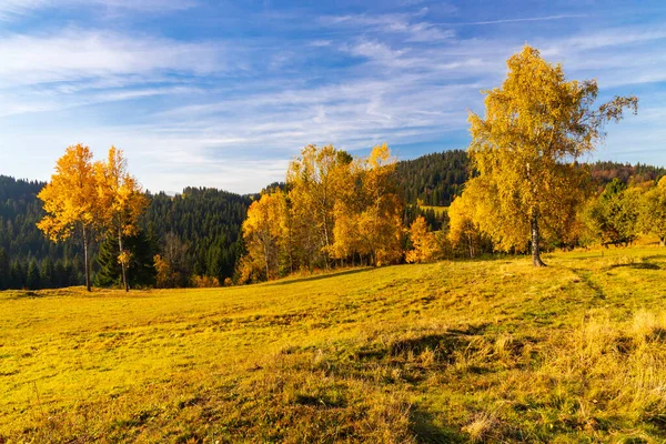 Őszi Táj Közelében Nyereg Beskyd Szlovákiában — Stock Fotó