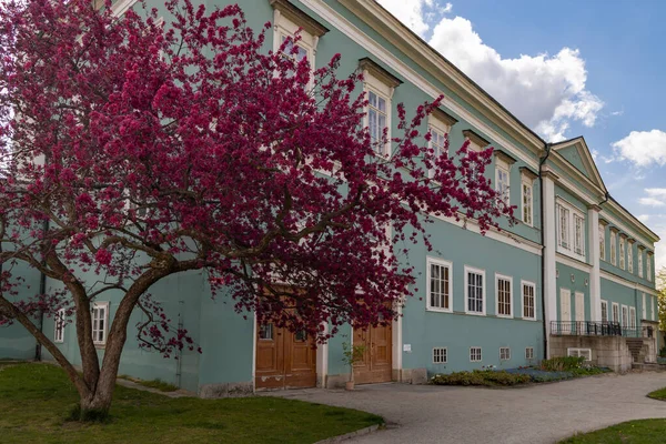 Schloss Dacice Südböhmen Tschechische Republik — Stockfoto