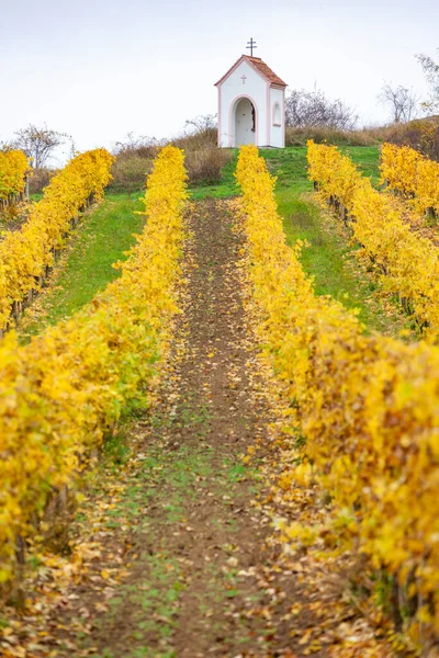 God Torture Hnanice Autumnal Vineyard Southern Moravia Czech Republic — Stock Photo, Image